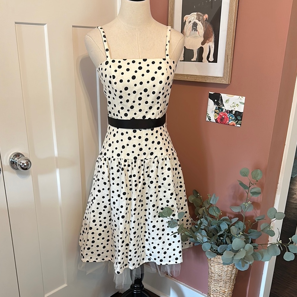 Veronique Young for W polka dot fit & flare linen crinoline 4 Velcro belt dress